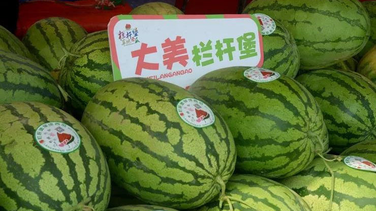 榆林新闻客户端榆林新闻联播在线-第2张图片-太平洋在线下载