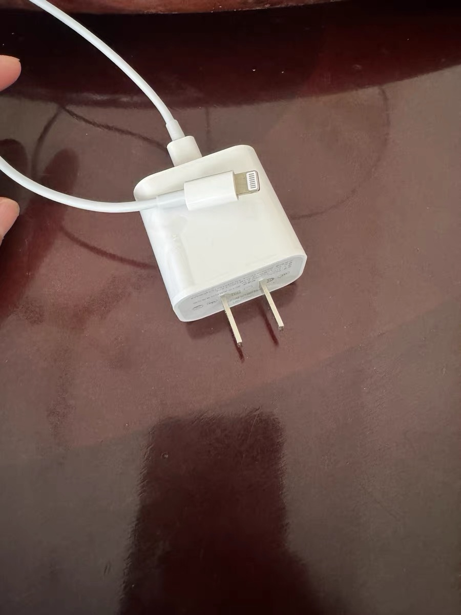 苹果充电头黑版(苹果充电头变黑了)-第4张图片-有道翻译官网