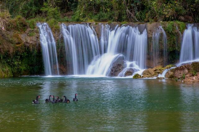 黔彩云安卓版与苹果版(黔彩云零售app下载苹果)-第5张图片-有道翻译官网