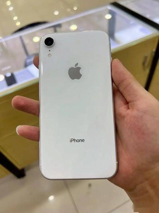 苹果xr加均热版(苹果xr用什么散热器比较好)-第2张图片-有道翻译官网